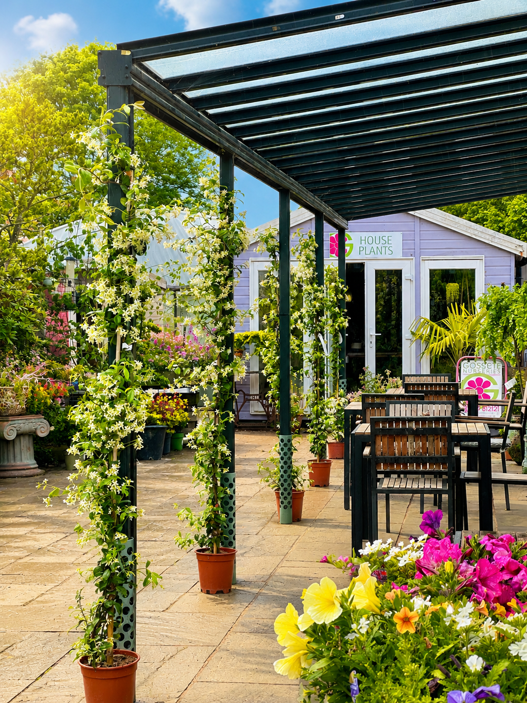 The tea garden café seating in the sunshine at Goscote Nurseries