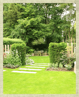 Large lawned garden with mature trees and shrubs