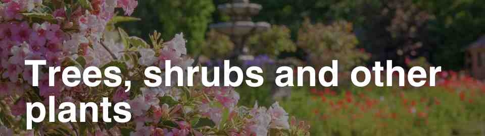 Trees, shrubs and other plants
